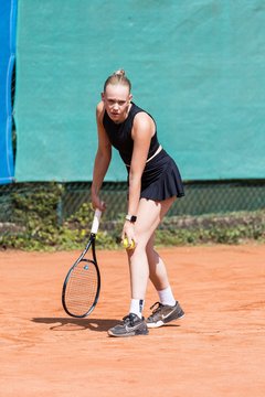 Bild 601 - TVSH-Cup Kaltenkirchen